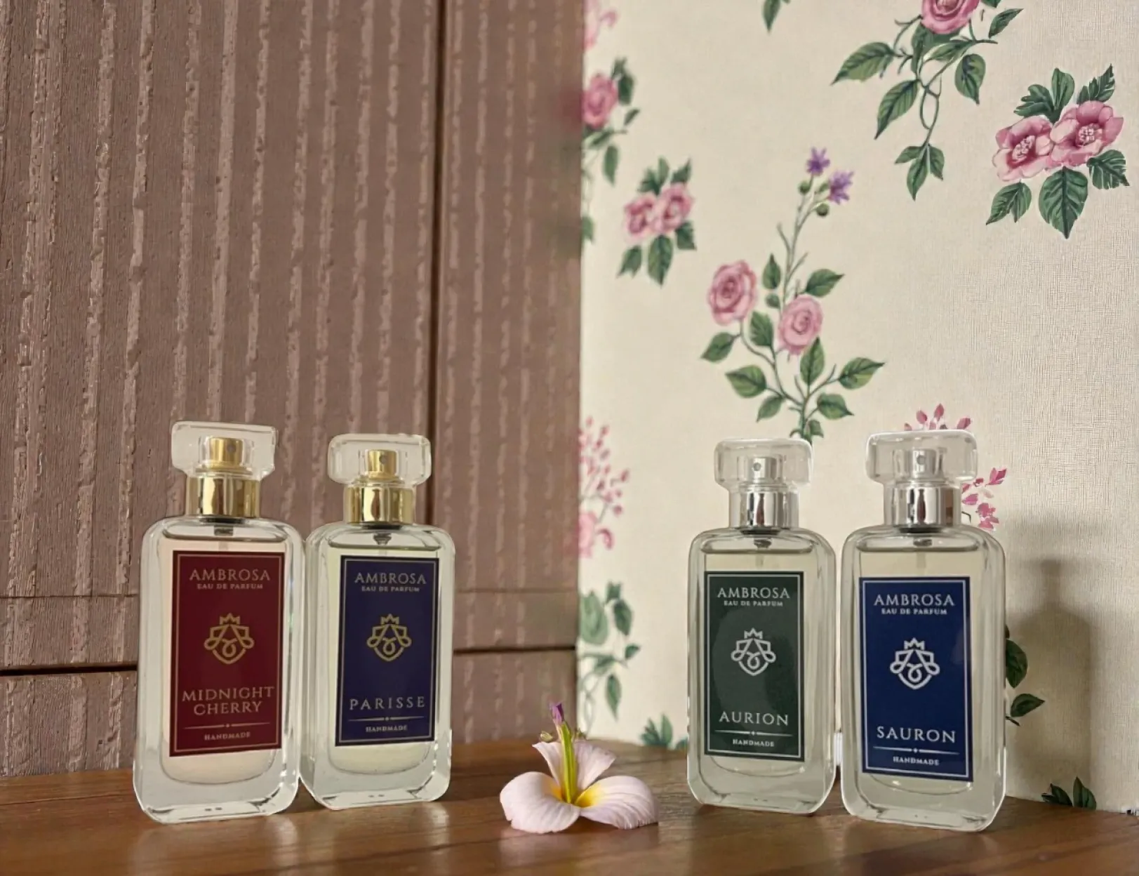 10% DISCOUNT on all products for registered clients!